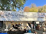 Herbstzauber 2024